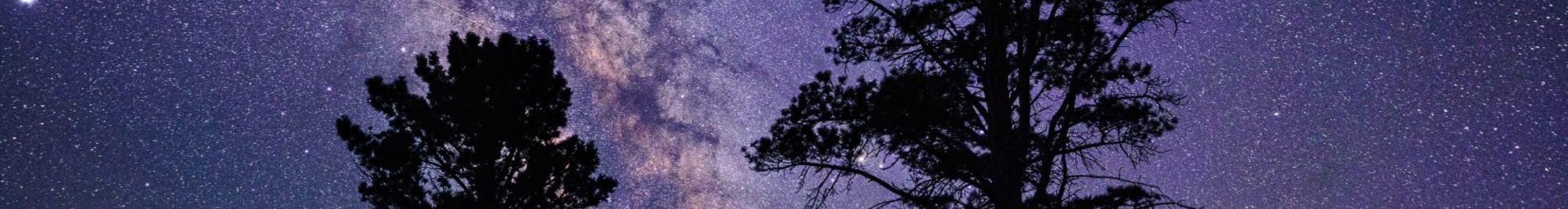 Perseid Meteor Shower