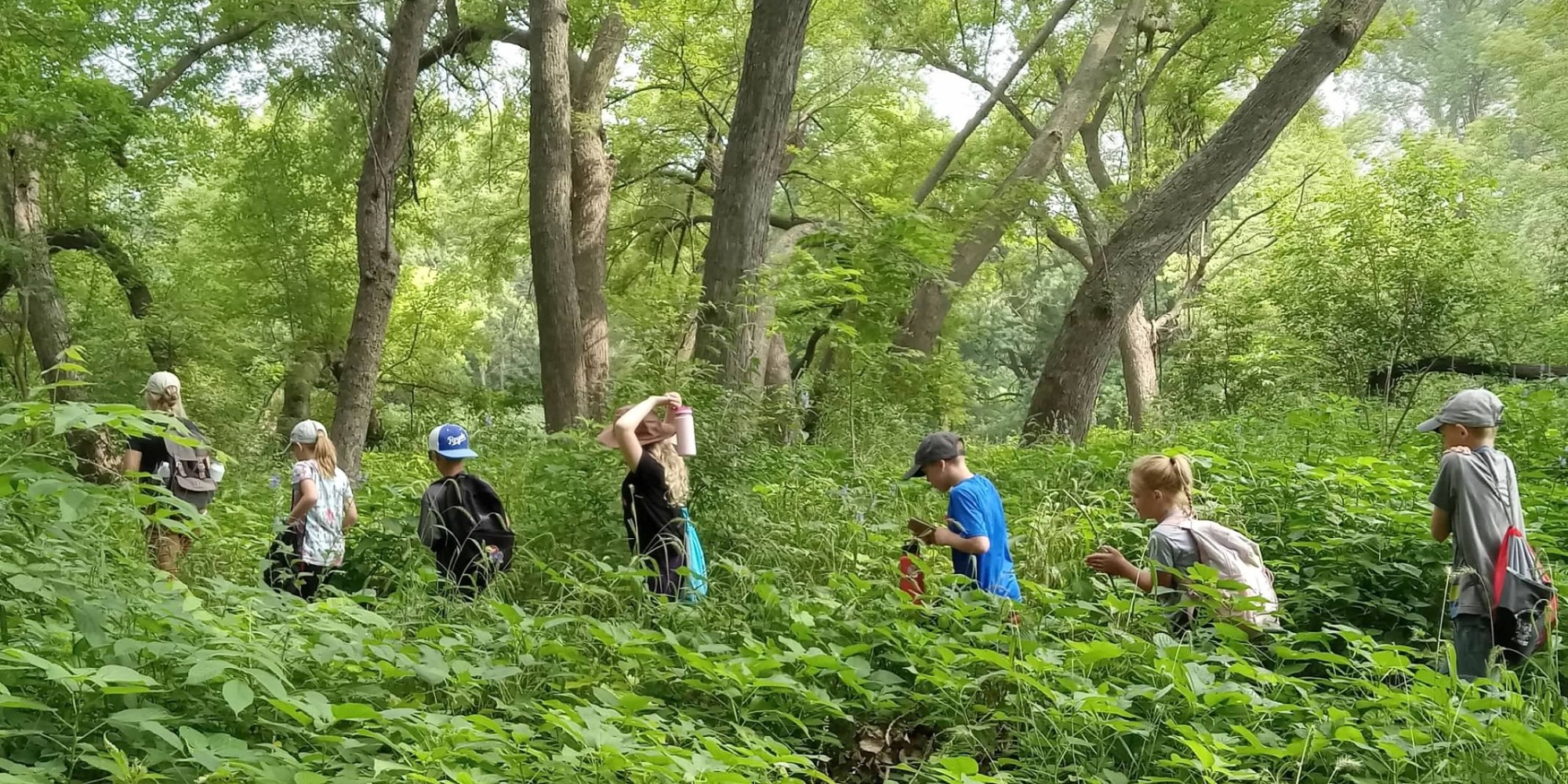Group of students hiking through woods led by instructor